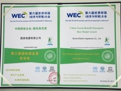 国美荣获“国际碳金最佳典范奖”