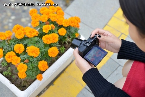 黑卡进行时 索尼RX100II记录清新友情