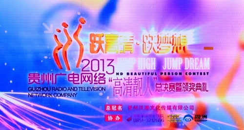 收入证明_会展企业收入(2)