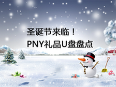 圣诞节来临 PNY礼品U盘盘点