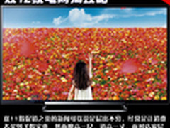 坐着买到实惠称心物 双12家电网淘攻略