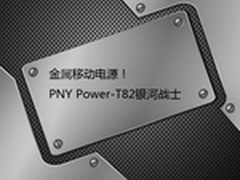 移动充电装备 PNY Power-T82银河战士热