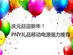 庆元旦迎新年 PNY礼品移动电源强力推荐