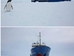 俄科考船被困南极5天 奥克斯紧急救援