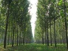 海能达数字对讲机服务包头林业