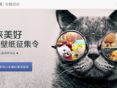 生来美好 搜狗壁纸宠物壁纸征集大赛