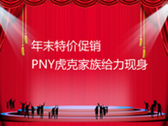 年末特价促销 PNY虎克家族给力现身