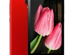 红红火火过新年 红米新年特价仅售799元