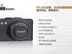 海鸥展翅回归，携新品重振江湖