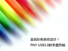 金属彩色条纹设计PNY USB3.0射手盘热销