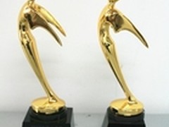 国美荣膺第三届中国公益节双料大奖