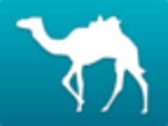 过年回家必备五大app