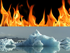 编程趋势：十五大热门与十五大冷门