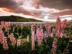 携手EOS 70D行摄新西兰