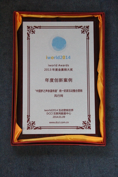 风行网荣获Adworld 2013年度金赢销大奖