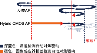 ?色彩饱和度很高 适合JPG直出