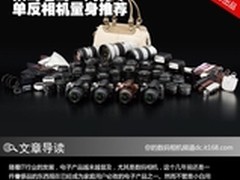 菜鸟老鸟一网打尽 单反相机量身推荐