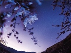 仰望苍穹，手可摘星辰 EF 鱼眼镜头