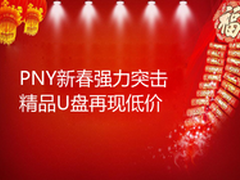 PNY新春强力突击 精品U盘再现低价