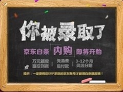 京东推“白条”网购 本月13至14日公测