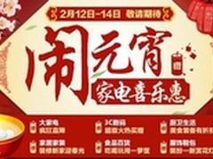 国美在线闹元宵 家电喜乐惠疯抢3天