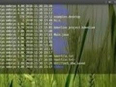 告别乏味12款最佳Linux命令行终端工具