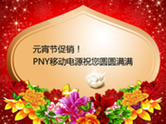 元宵节促销 PNY移动电源祝您圆圆满满