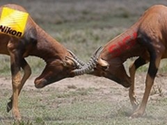 适马被判侵犯尼康专利 赔偿15亿日元 