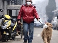 空气净化器哪个牌好空气净化器十大排名