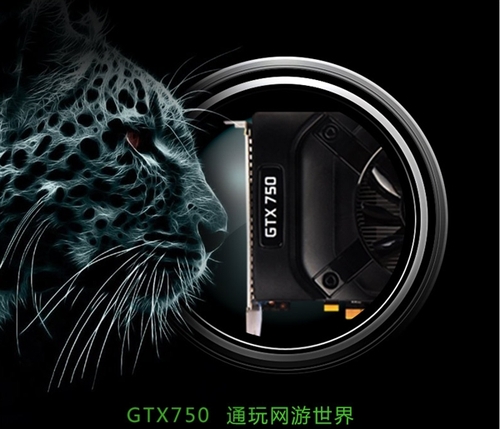 短少精干？GTX750Ti/750实物、规格曝光