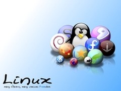 专家谈Linux选型：掌握共性 拒厂商绑架