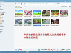 早春摄影大作 用美图看看快捷分享
