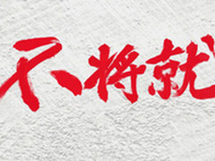 采用木制机身 一加手机材质可定制