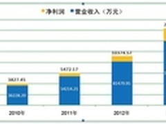 网宿2013年营收增长47%坐稳CDN头把交椅