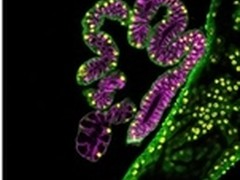 探索生命美丽 风云再起