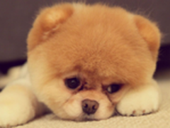 APP时代：晋级“宅神”每日指南