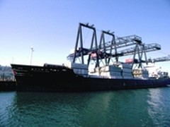 不出国内就能尽享美国购物之旅