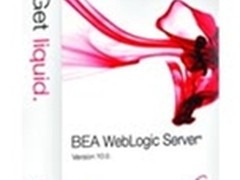 ORACL WebLogic Server 10企业版179000