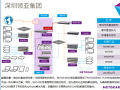 NETGEAR力助领亚集团打造统一基础架构