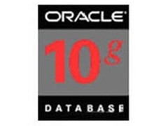 ORACLE Oracle 10g企业版售价304000元