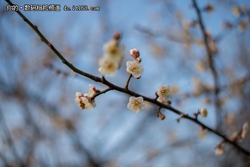 终极实战指南 穷人微距玩法之镜头倒接