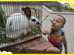 27寸巨屏 易购上演“大白兔”的诱惑