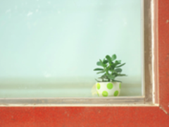 编辑部摄影日记：关于春天的隐秘情绪