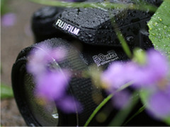 充盈的周末 富士S1记录身边美好