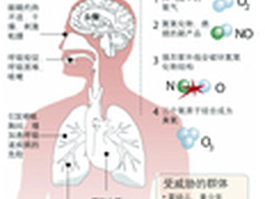无臭氧除雾霾 美国奥司汀空气净化器