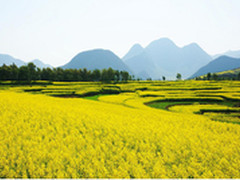 黄金周出游华为Mate2 4G锦上添花