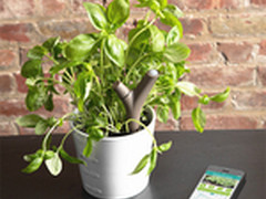 您的园艺助手 派诺特Flower Power发布