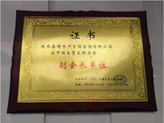 联想ThinkPad 8平板体验：显示出色