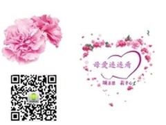 东莞手机俱乐部孝心传递：让爱不再漂泊