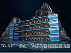 浅谈TG-NET“泰山”RN系列路由器开发路